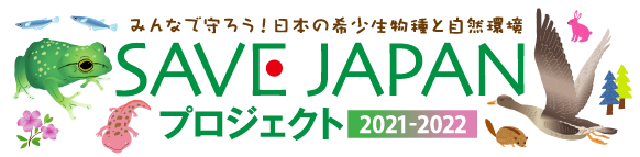 SAVE JAPAN プロジェクト | 全国のNPOと地域住民、損保ジャパンによる「いきものが住みやすい環境づくり」